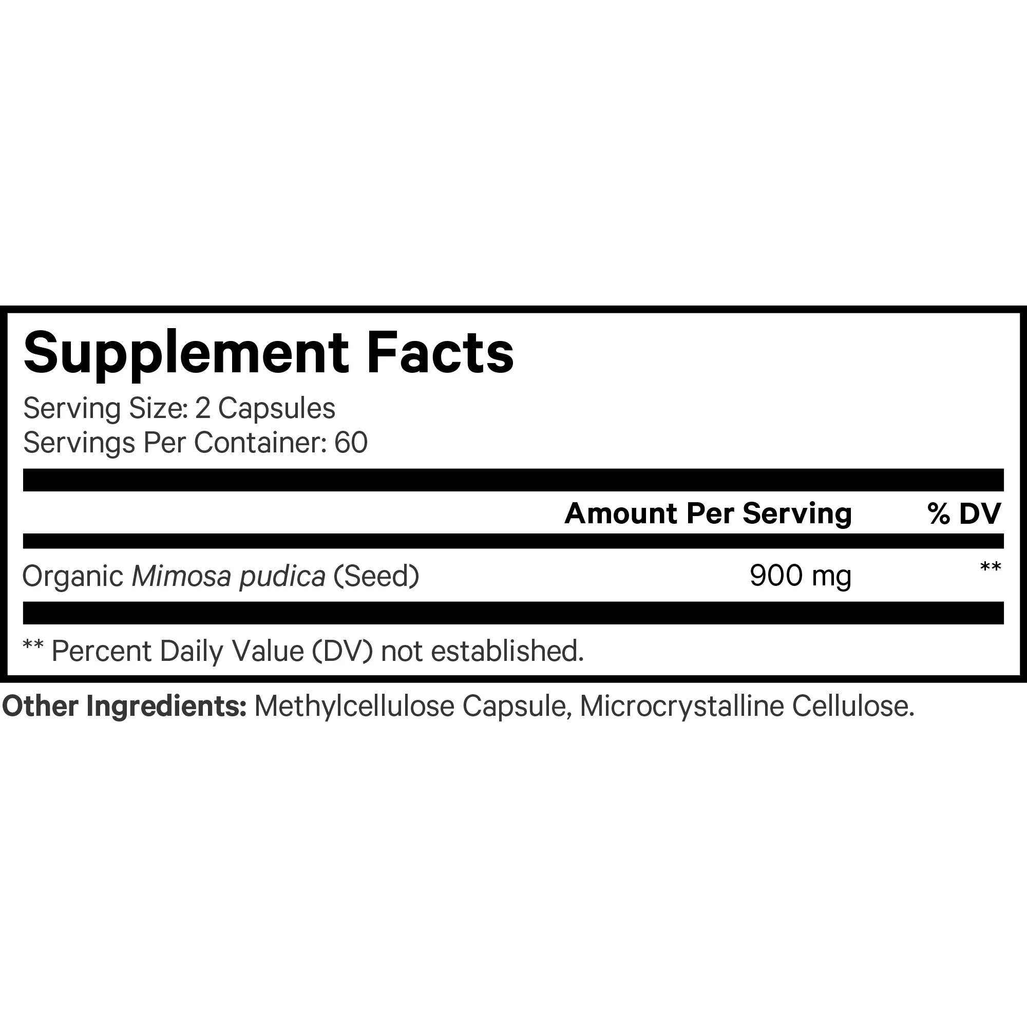 Amen Mimosa Pudica Seed - Image 5