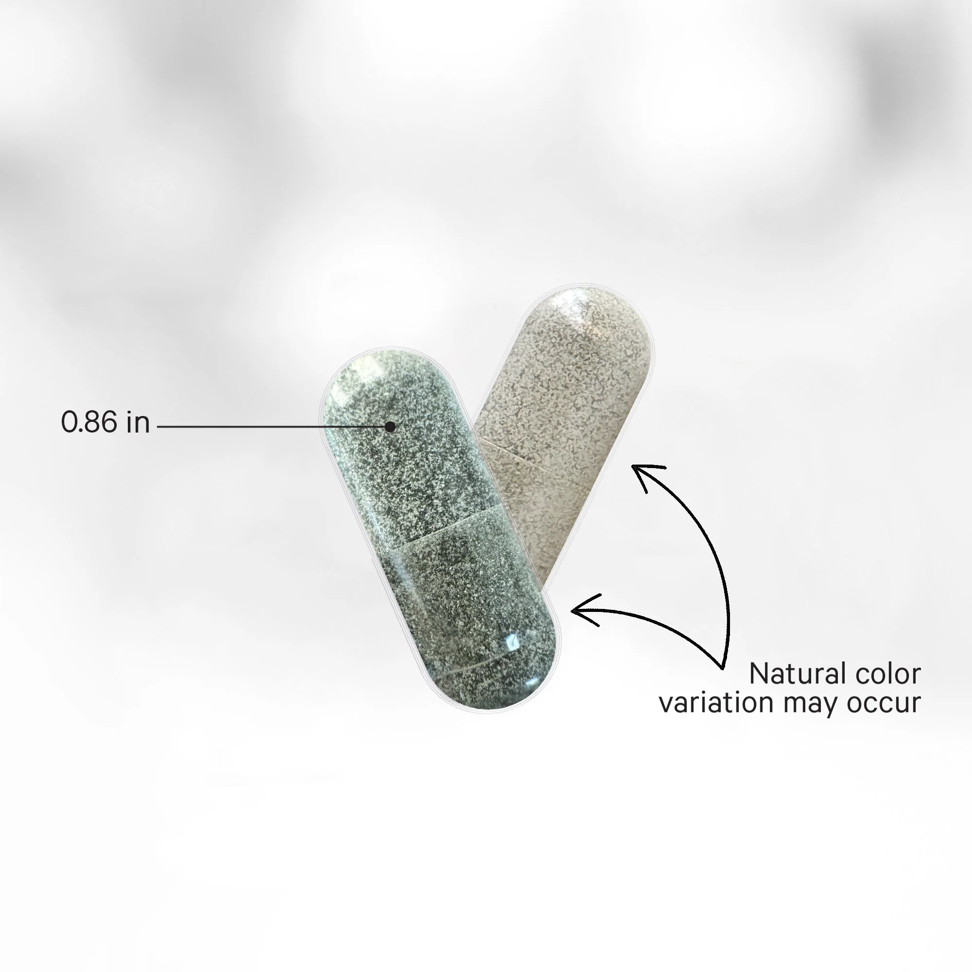 Binder + Full Spectrum - Image 5