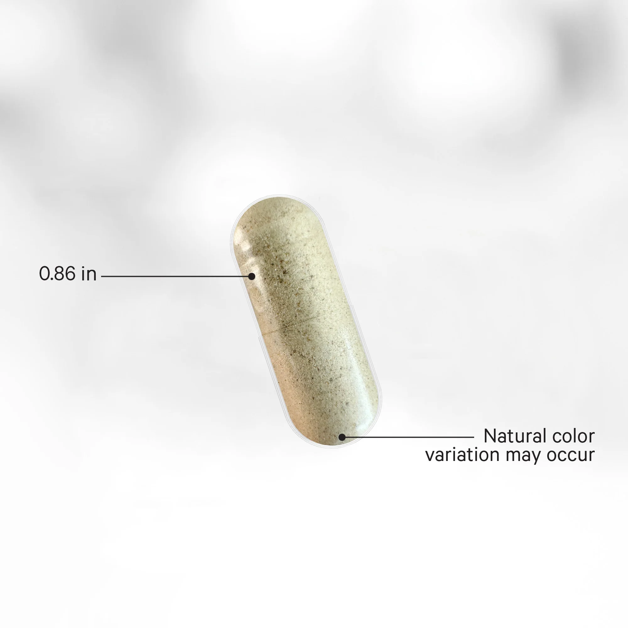 Brain Focus Vitamins+ - Image 4