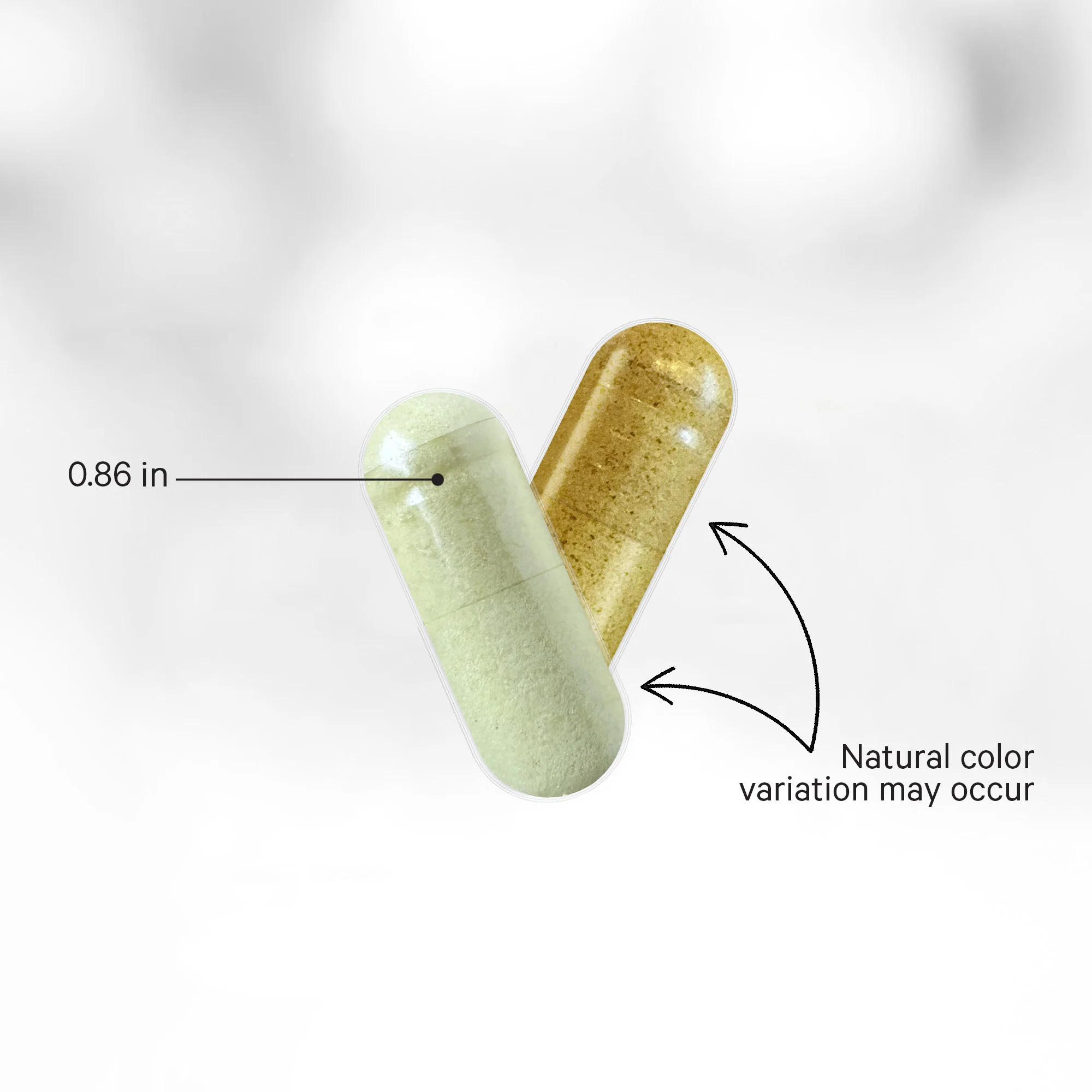 Liposomal Vitamin C+ Large - Image 5