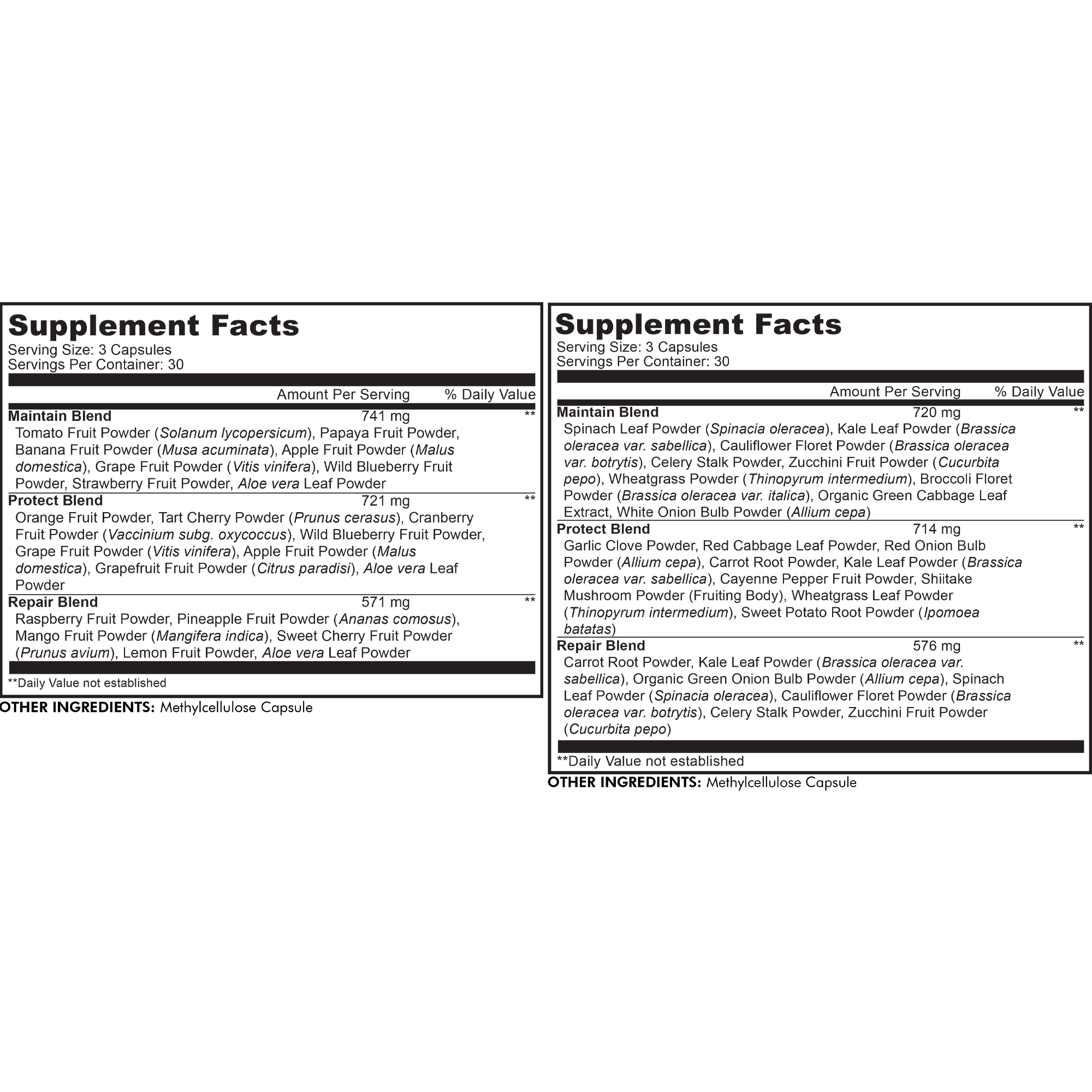 Instantfood Easy Veggies + Fast Fruits Bundle - Image 3