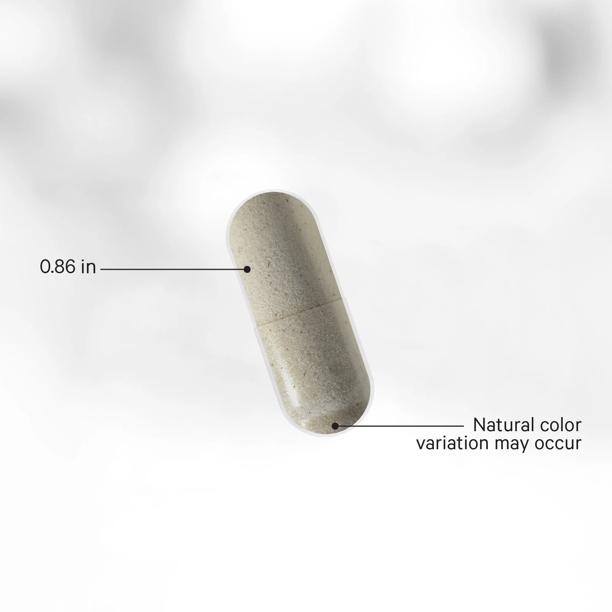 Multi Collagen Protein + Gut Blend - Image 5