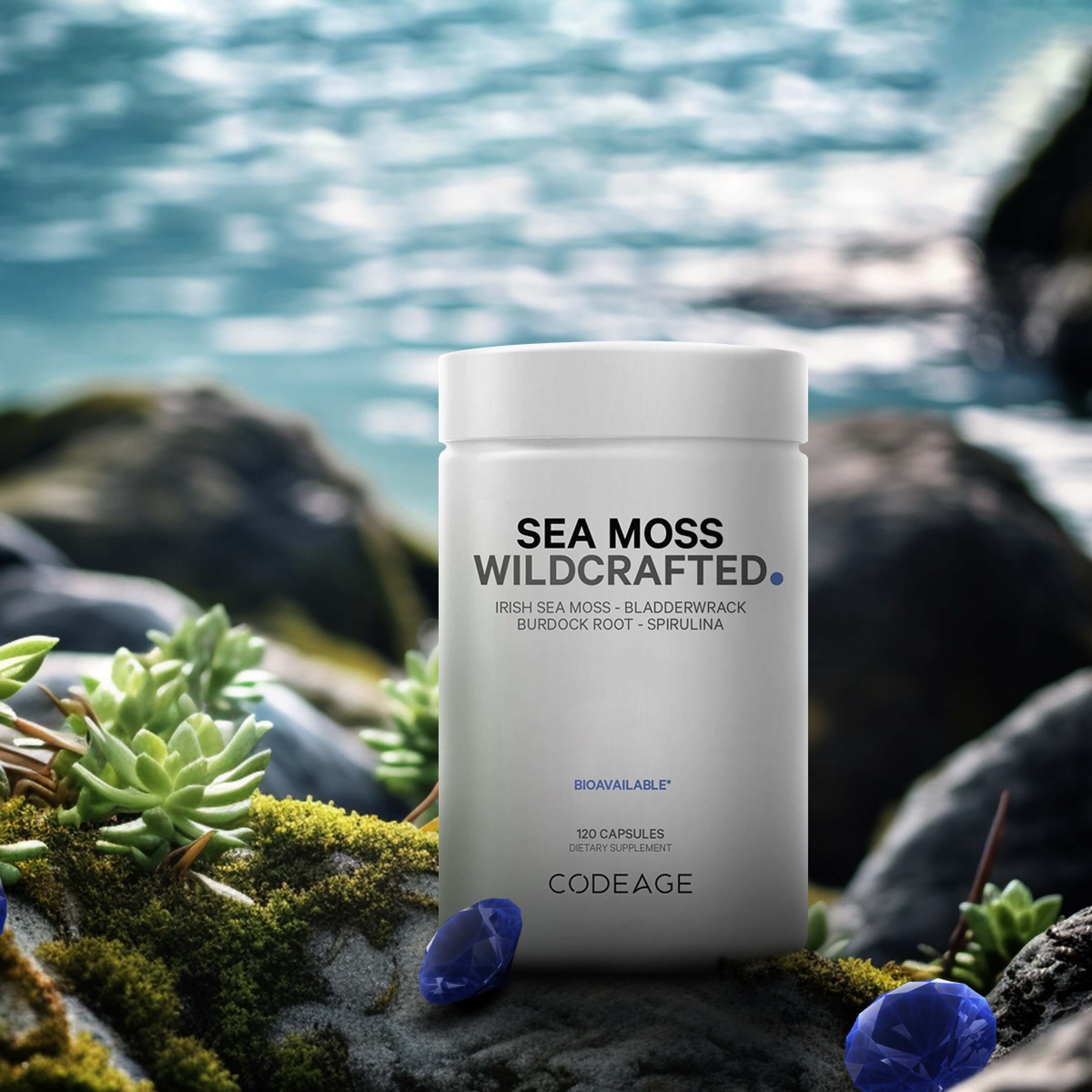 Raw Wildcrafted Sea Moss - Image 3