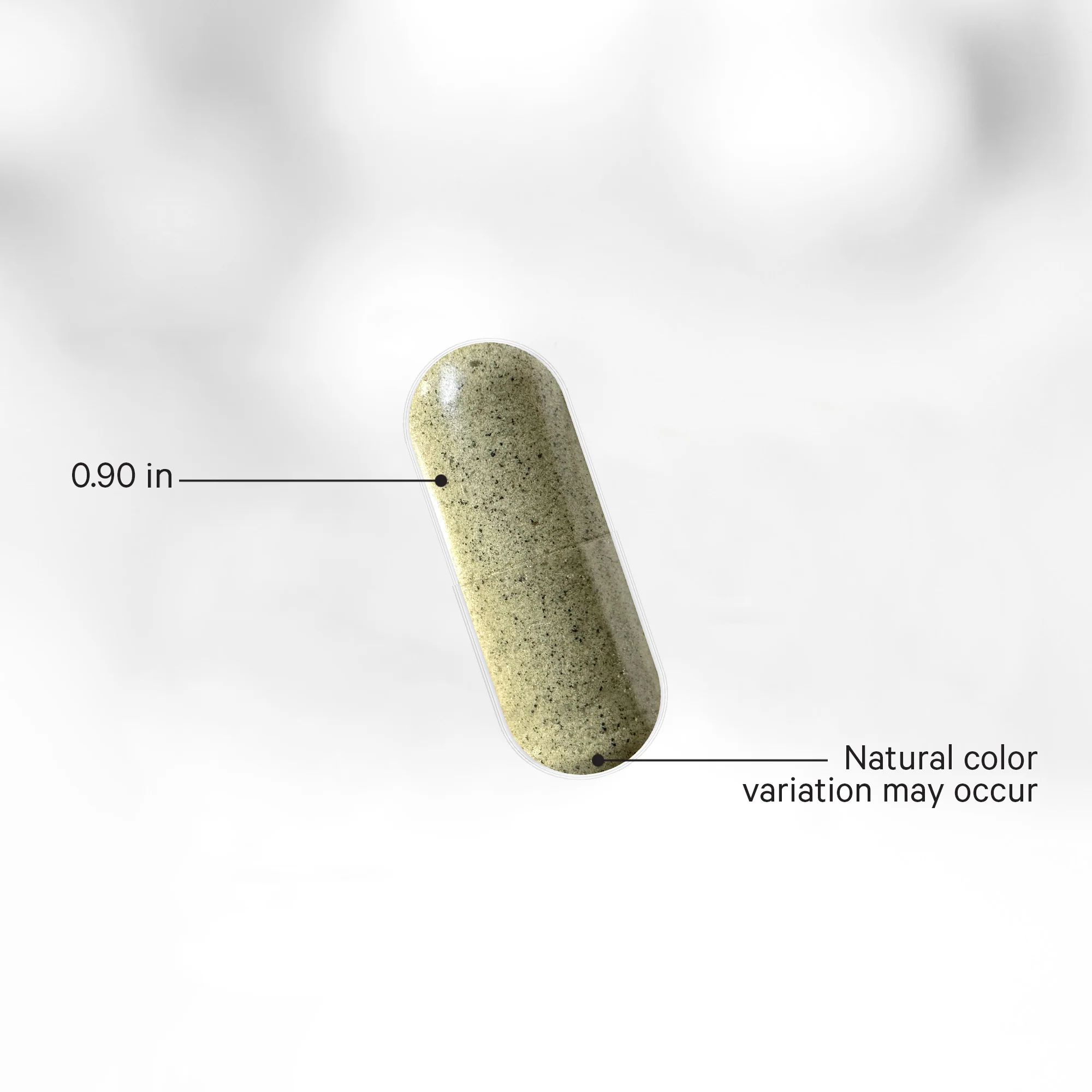 Raw Wildcrafted Sea Moss - Image 5