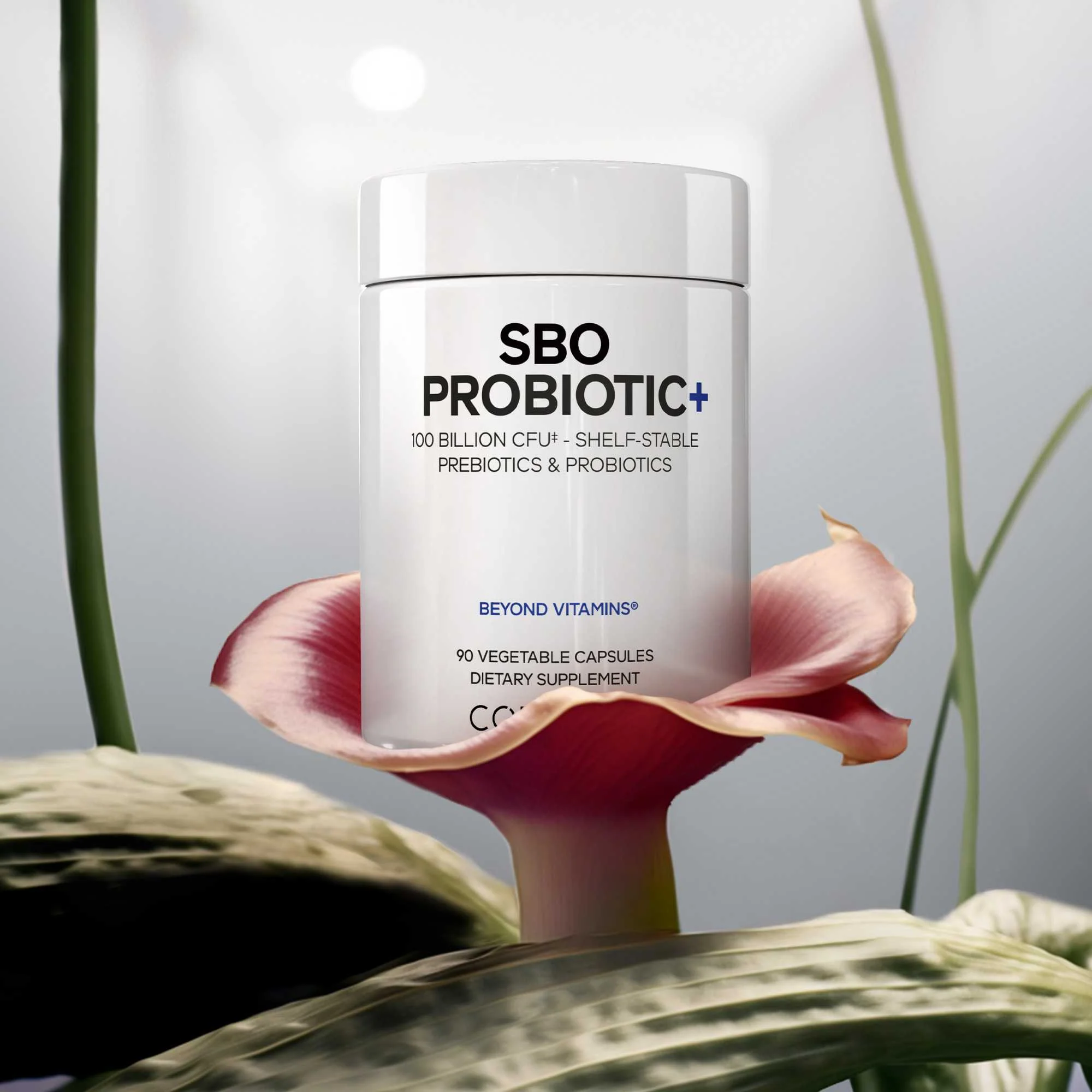 SBO Probiotic + 100 Billion CFUs - Image 3