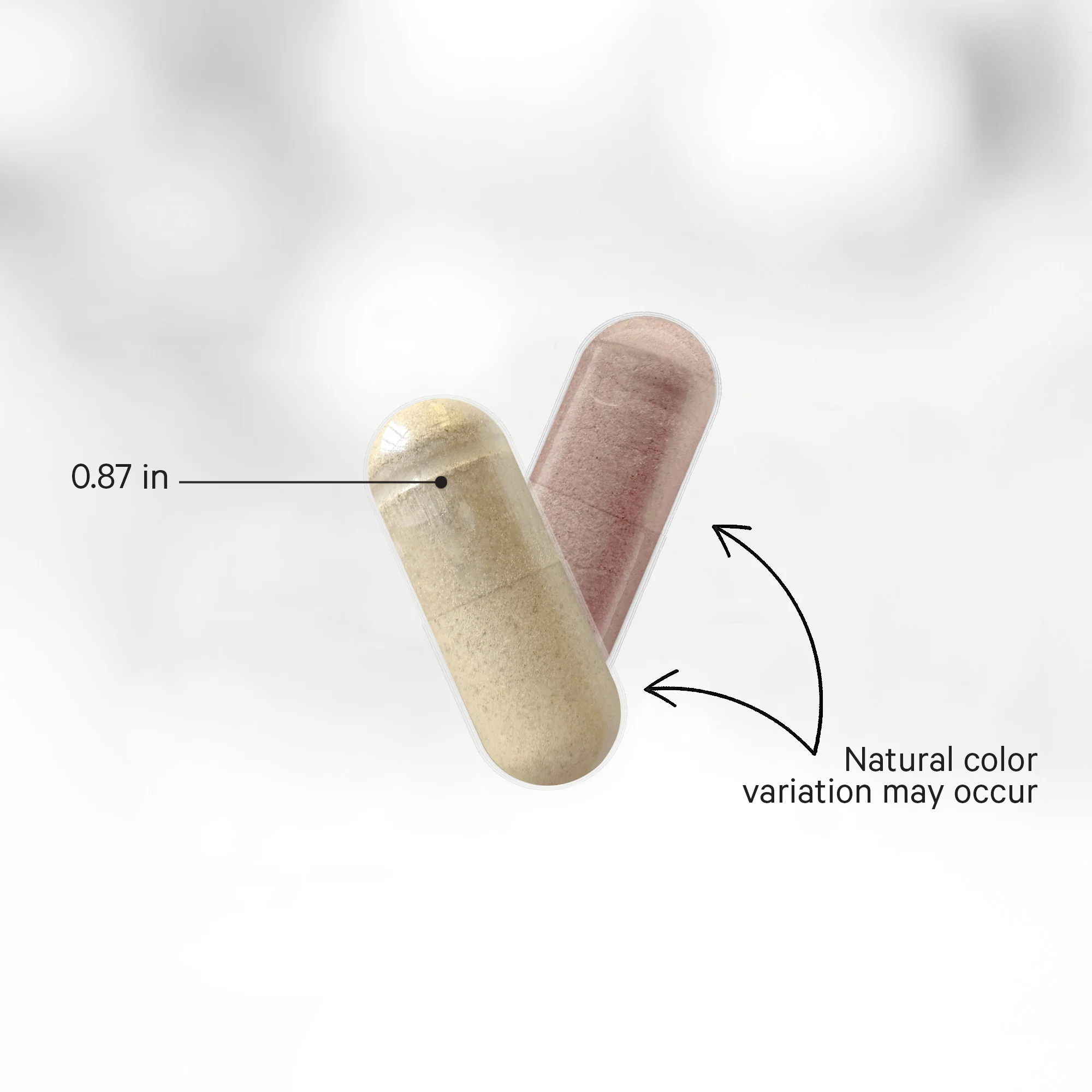 SBO Probiotic + 100 Billion CFUs - Image 5