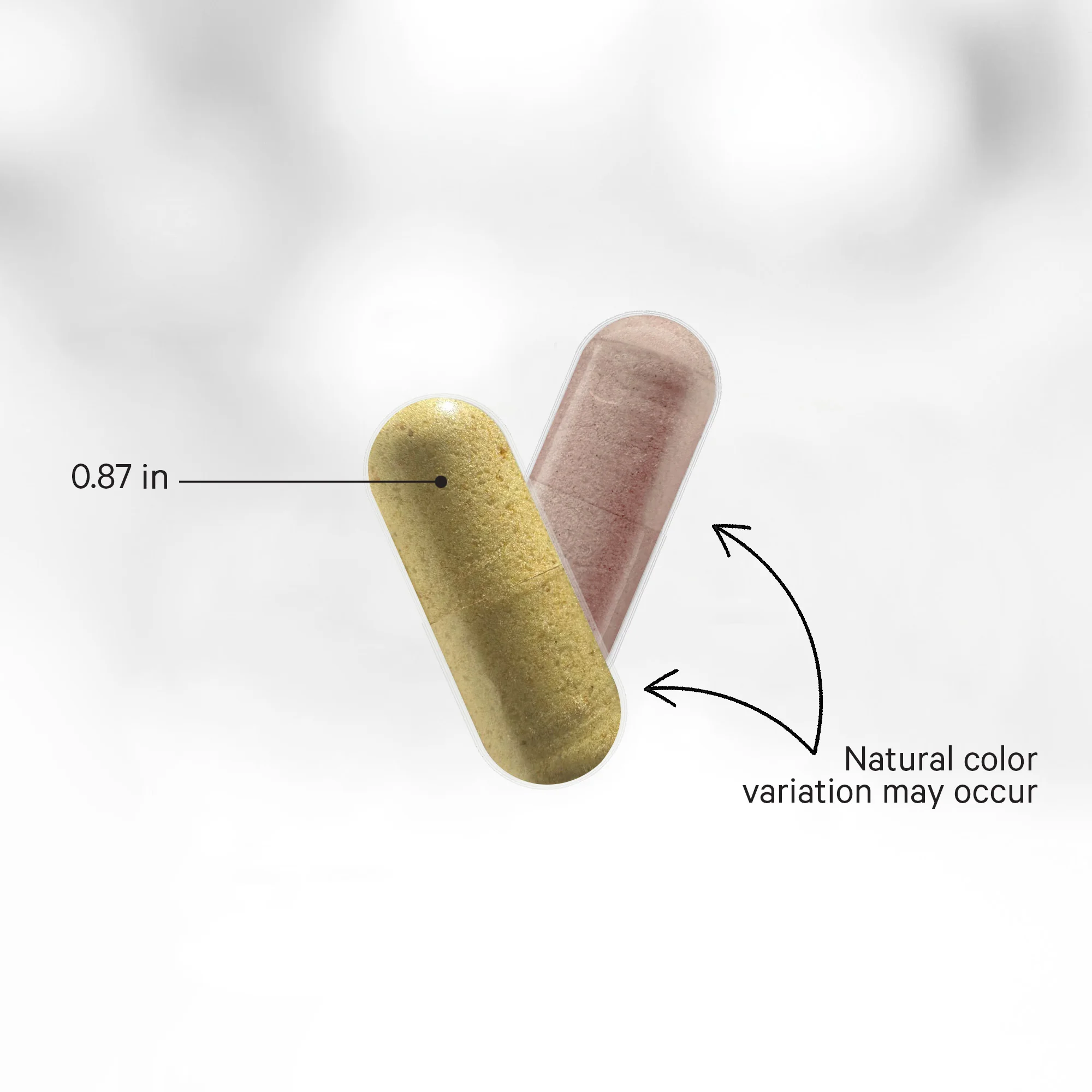 SBO Probiotic + 50 Billion CFUs - Image 5